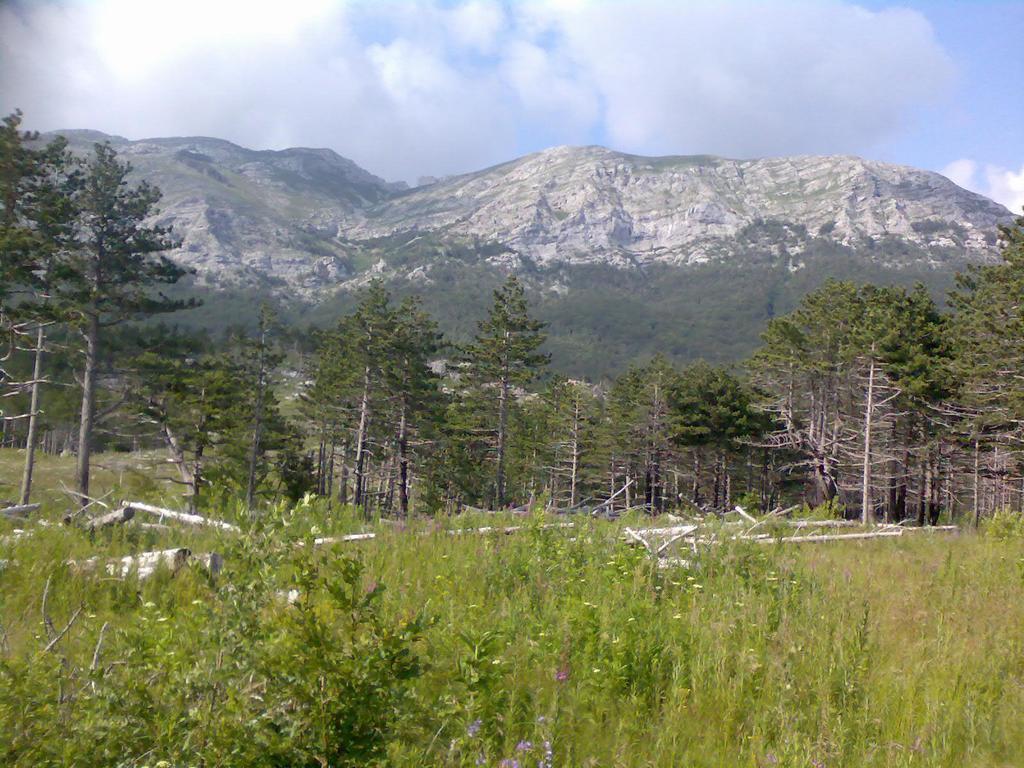 Apartments Lana Starigrad Paklenica Exterior foto